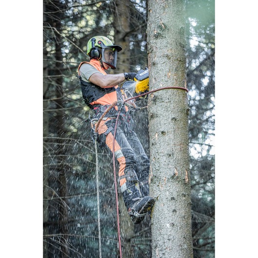 Side view of the arborist at height harnessed to to tree sawing with the DCMCST635 Top Handle Chainsaw
